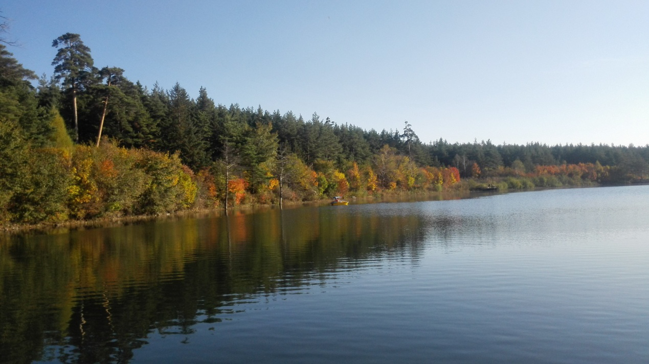 圖片9.png 圖片9.png